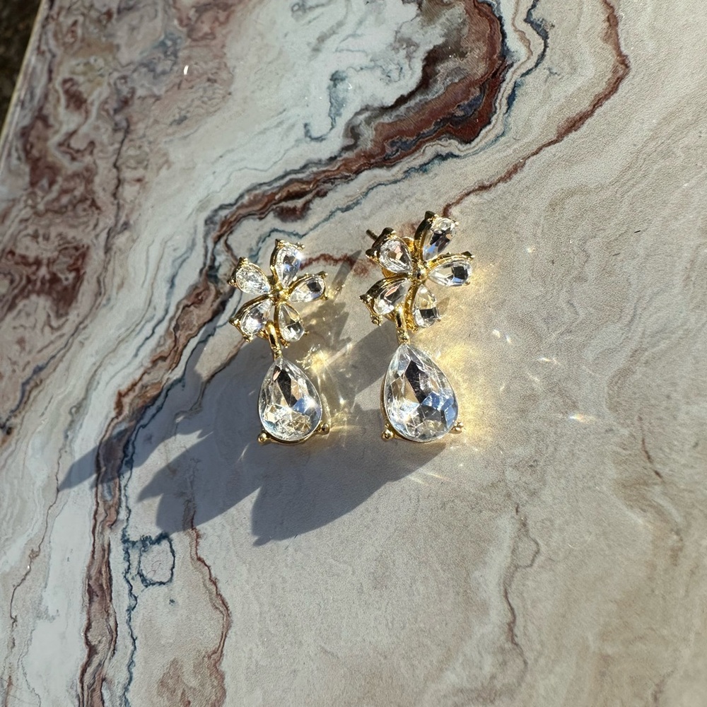 Elegant Crystal Drop Earrings - Picture 6 of 6